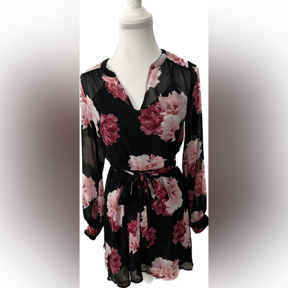NWT 🔮 Banana Republic 🔮 Black, Pink & Red Floral Long Sleeve Dress - XS - Picture 2 of 7